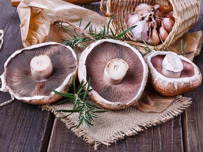 Portobello Mushrooms