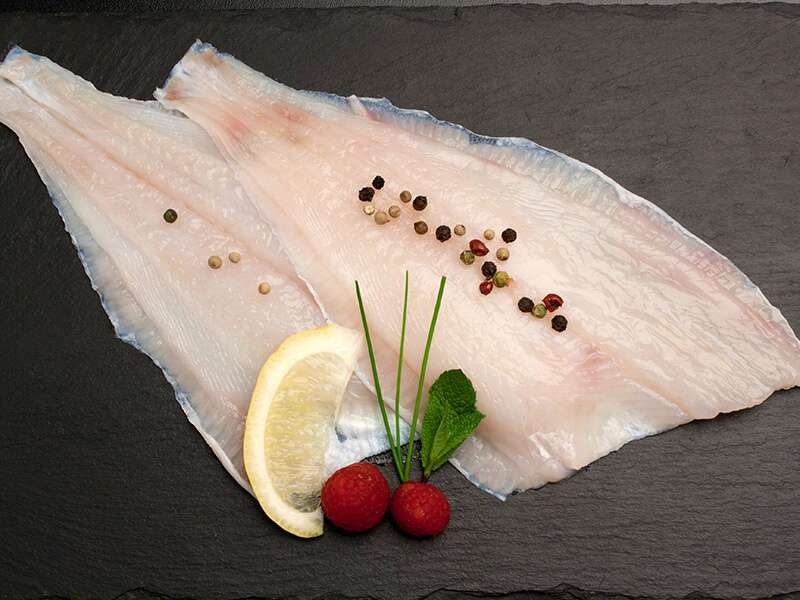 Raw Flounder Fillet