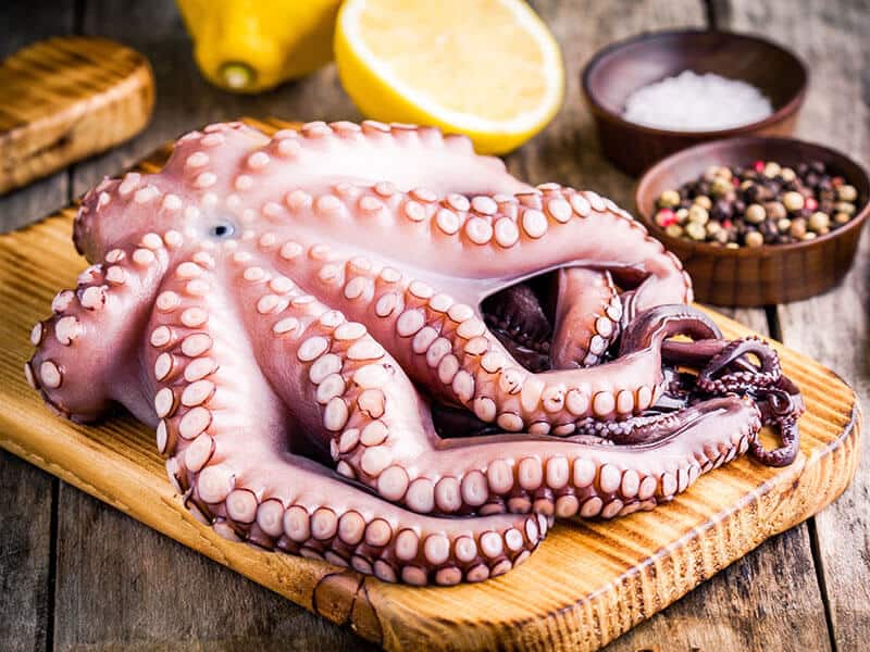Raw Octopus