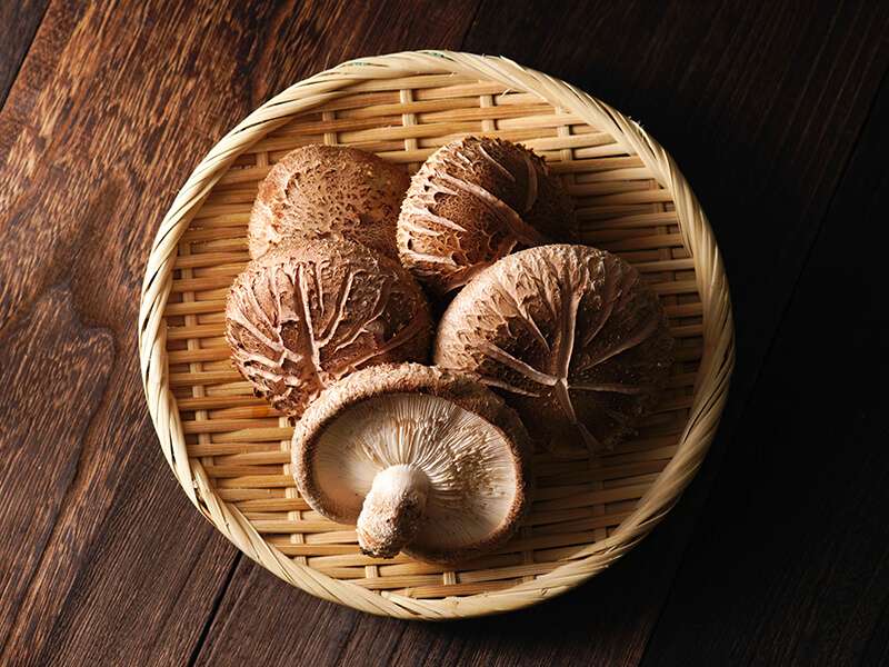 Shiitake Mushroom