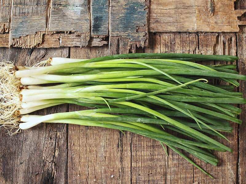 Spring Onion