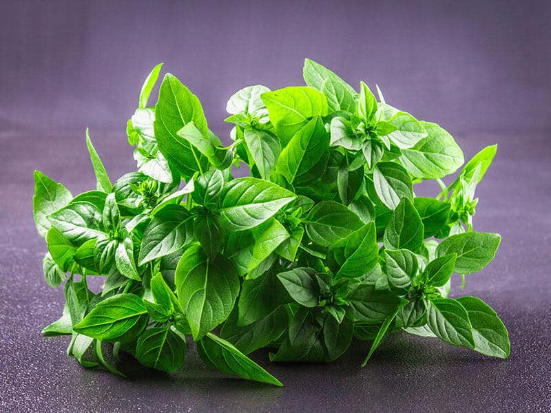 Thai Basil Substitutes