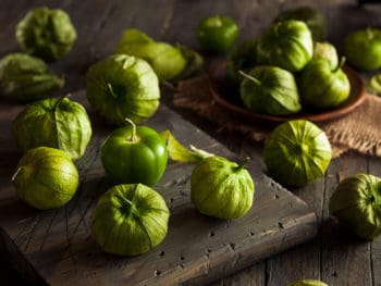 Tomatillo