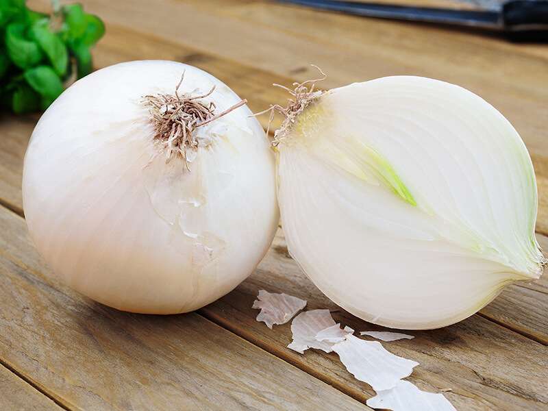 White Onion