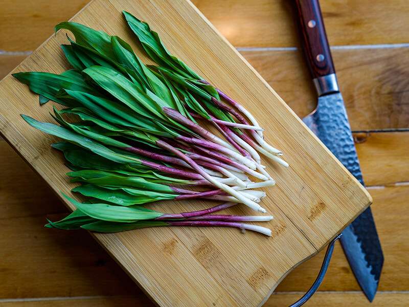 Wild Ramps