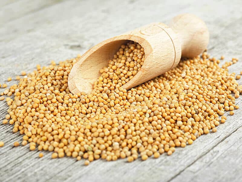 Yellow Mustard Seeds