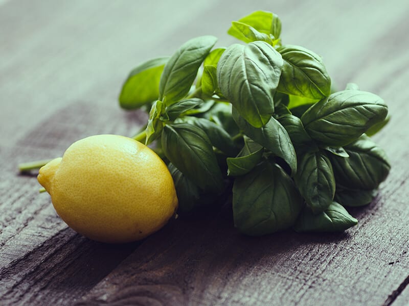 Basil Lemon