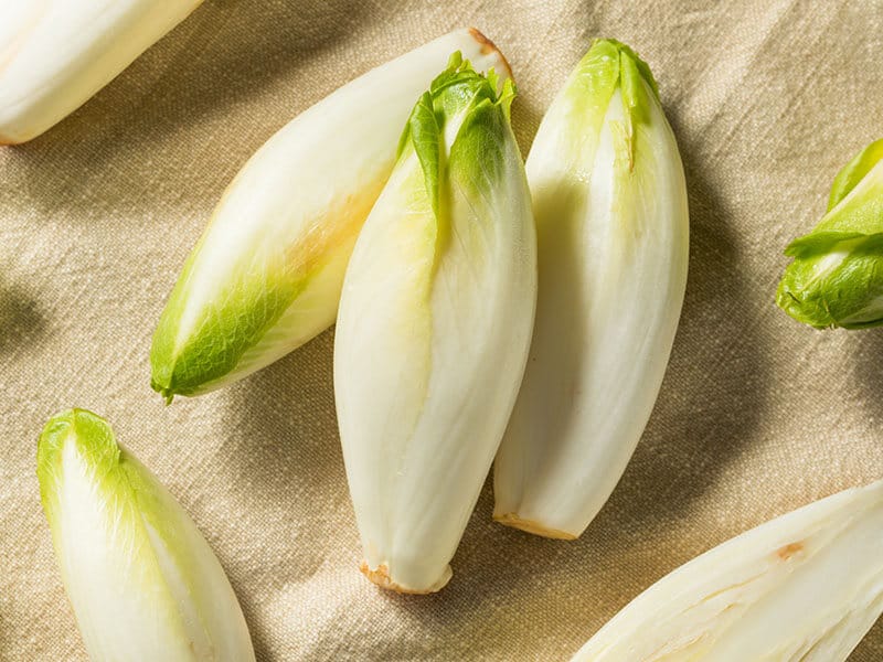 Belgian Endive