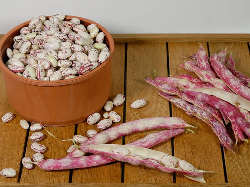 Borlotti Beans