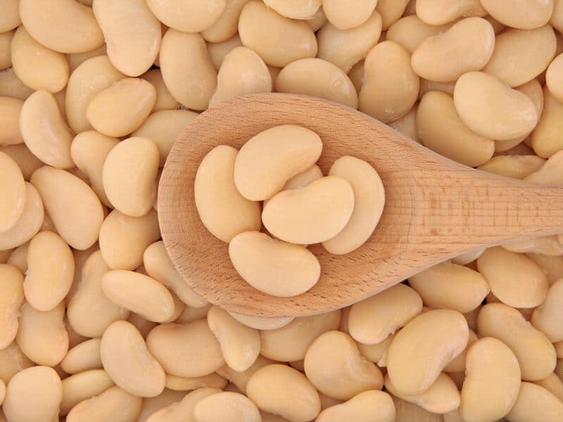 Butter Beans