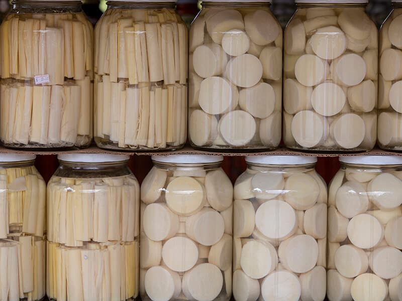 Canned Palm Hearts