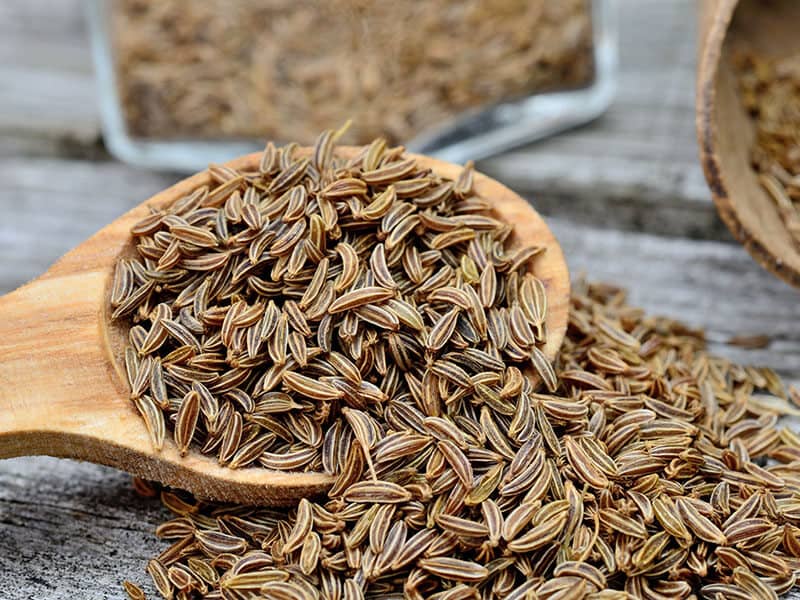 Caraway Seed