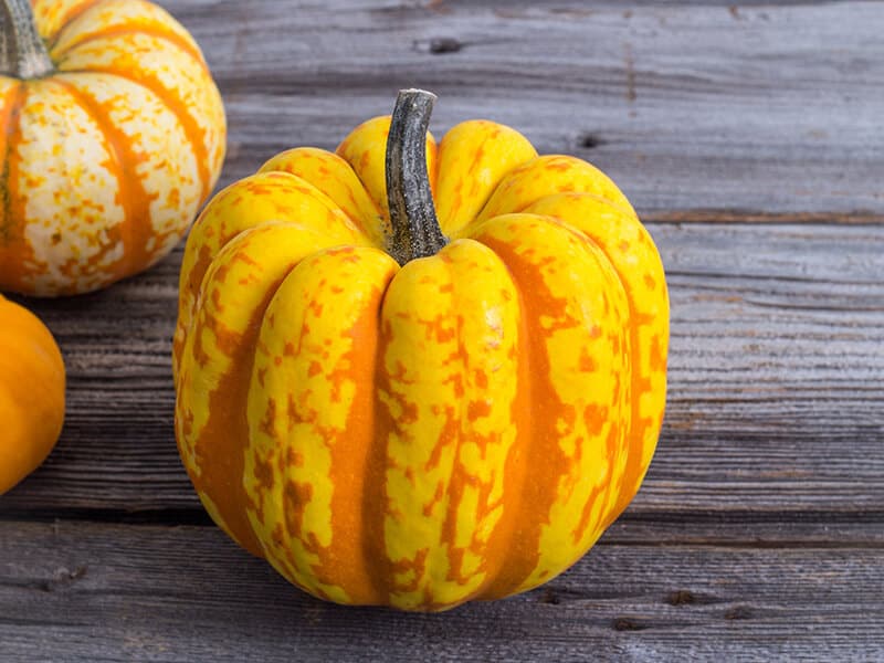 Carnival Squash