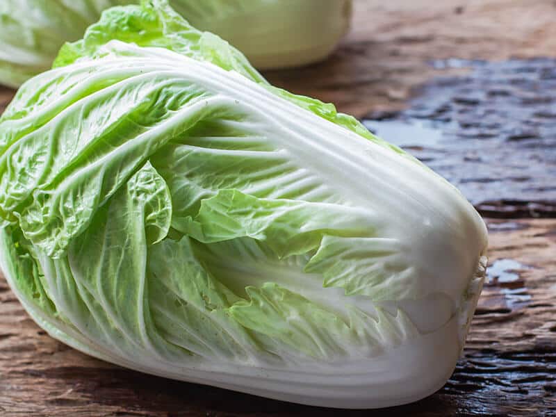 Chinese Cabbage