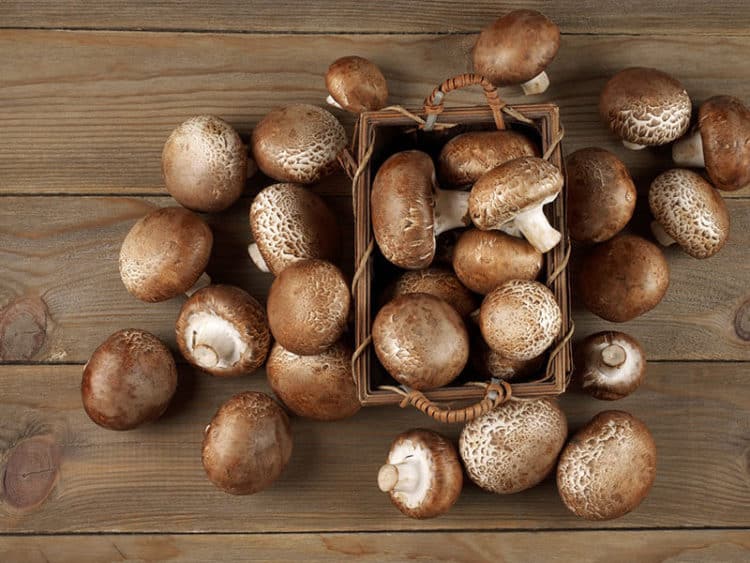 20 OhSoGood Cremini Mushroom Substitutes You Crave (2023)
