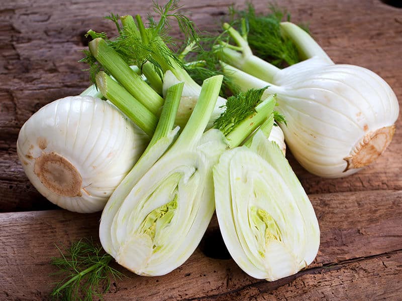 Florence Fennel Bulbs