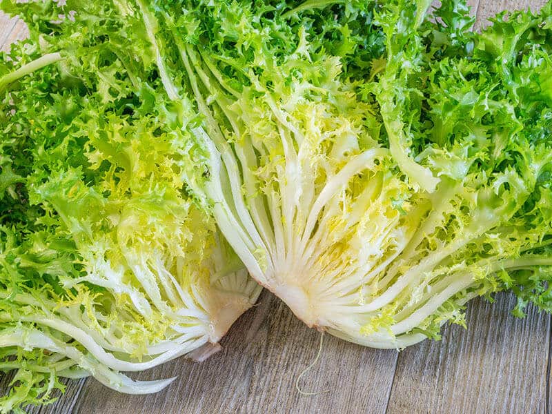 Frisée Leaves