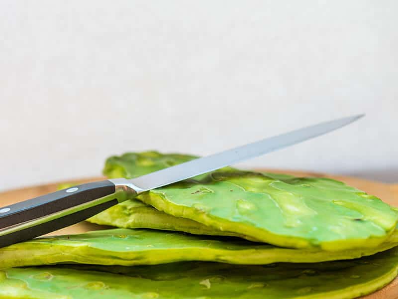 Green Cactus Leaves