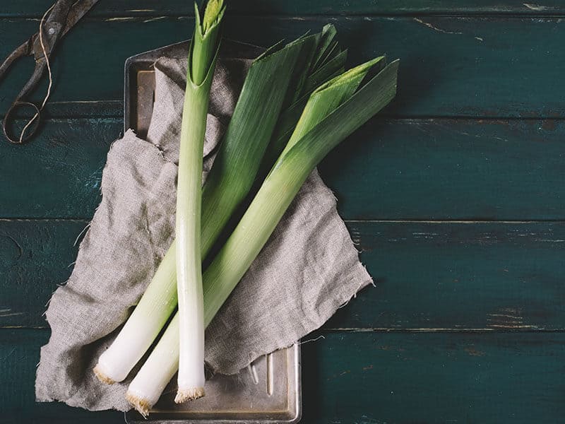 Leek Scissors