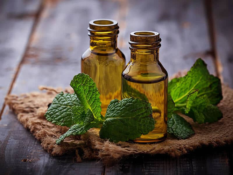 Mint Extract