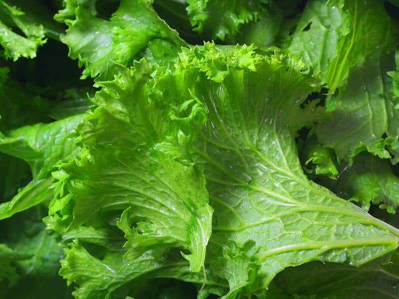 Mustard Greens