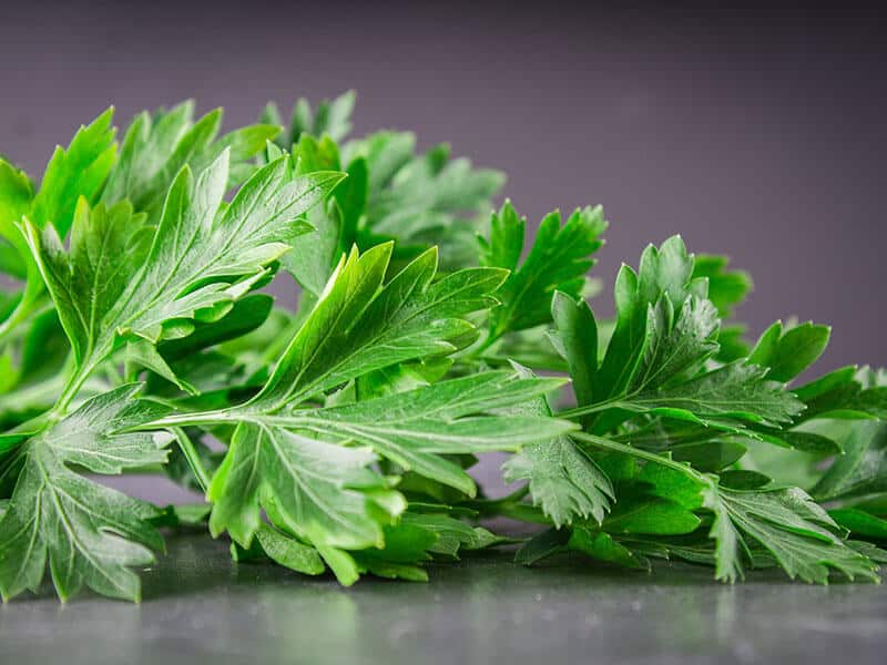 Parsley Healthy