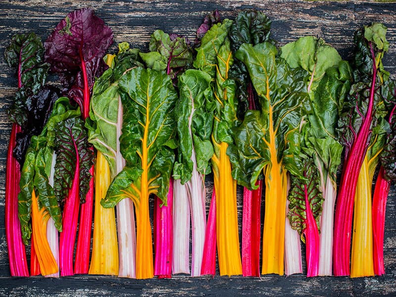 Rainbow Chard