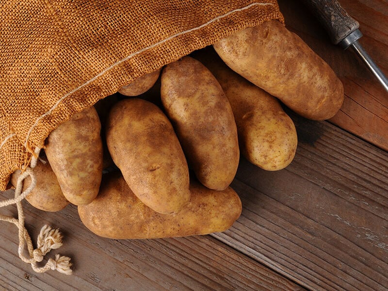 Russet Potatoes