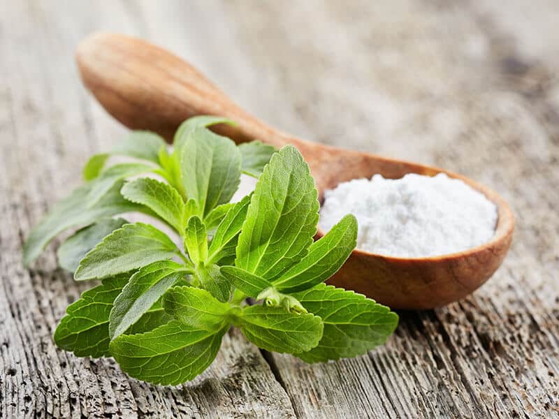 Stevia Plant