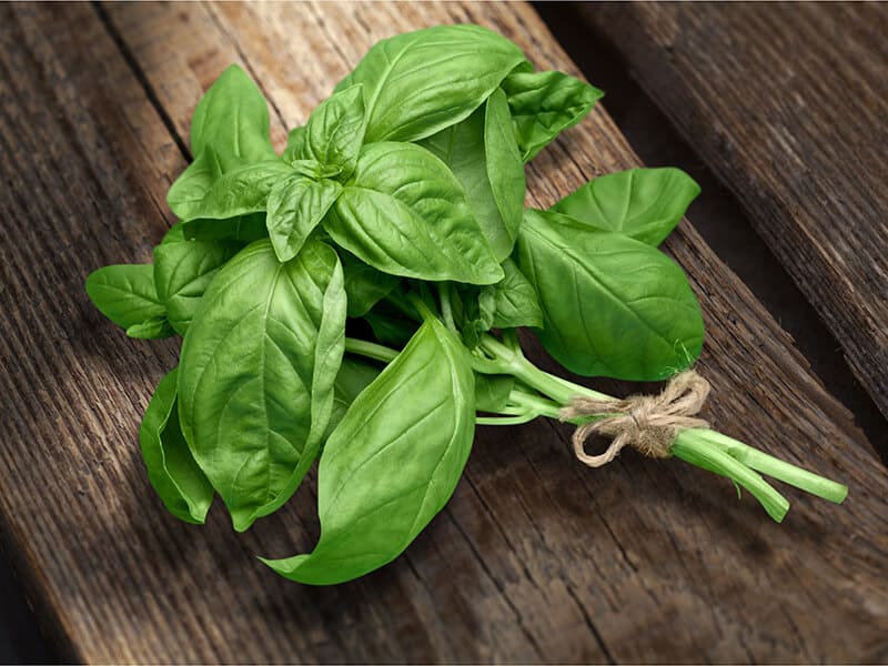 Sweet Basil Leaves