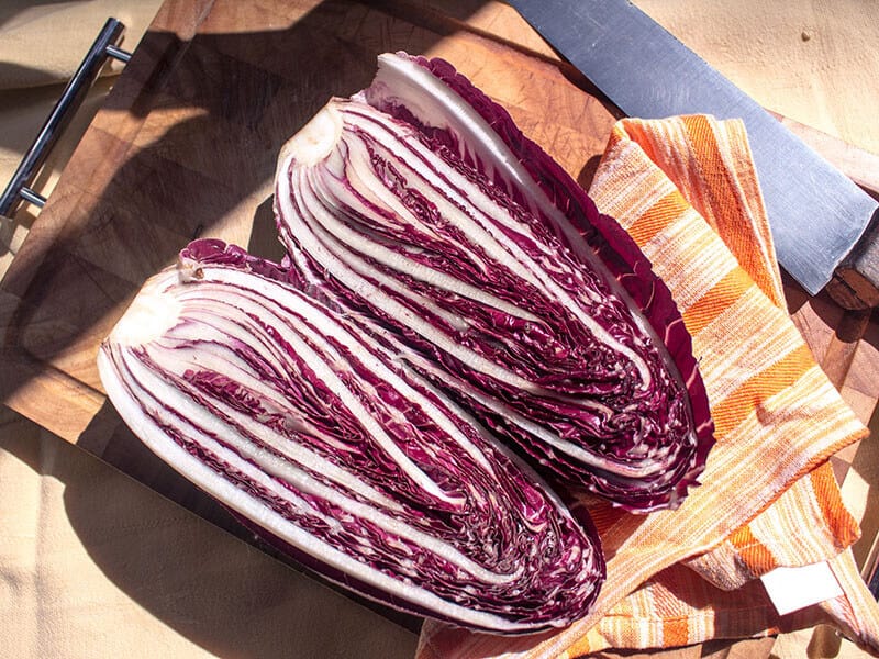 Treviso Radicchio