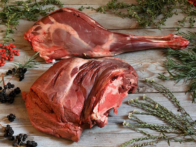 Venison Deer Meat