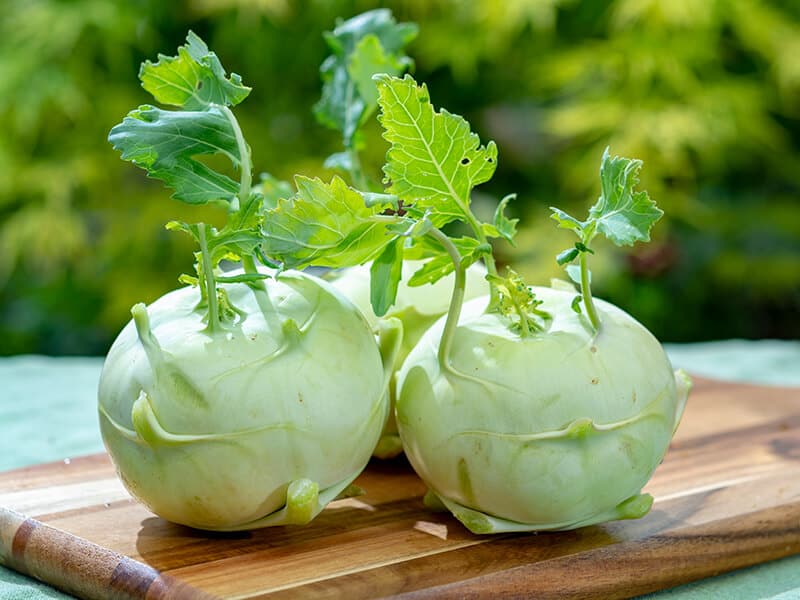 White Kohlrabi