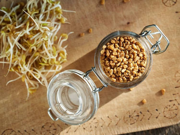 What Does Fenugreek Taste Like? The 101 About Fenugreek 2023