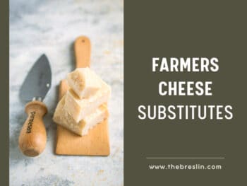 Farmers Cheese Substitutes