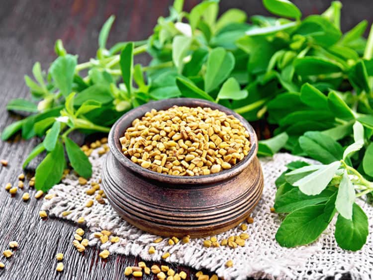 What Does Fenugreek Taste Like? The 101 About Fenugreek 2023