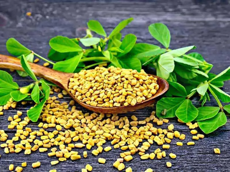 Fenugreek Substitutes