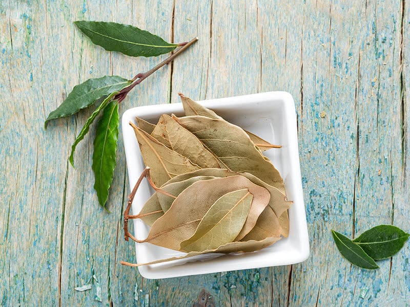 Fresh Bay Leaves