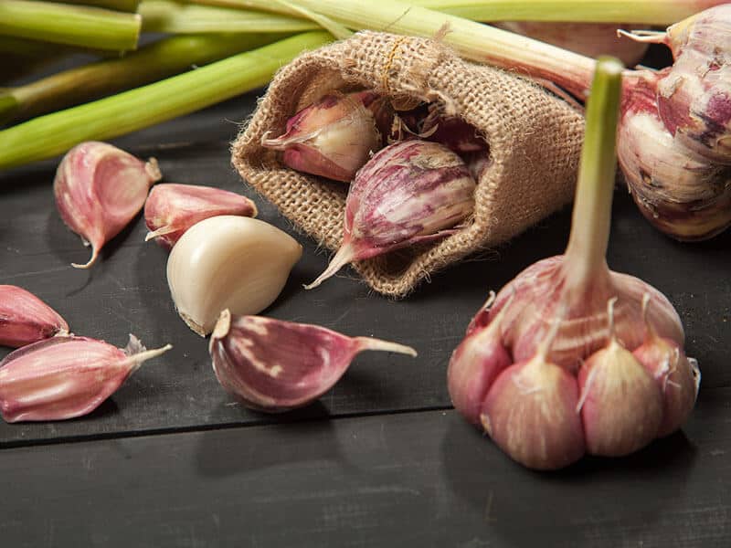 Fresh Garlic