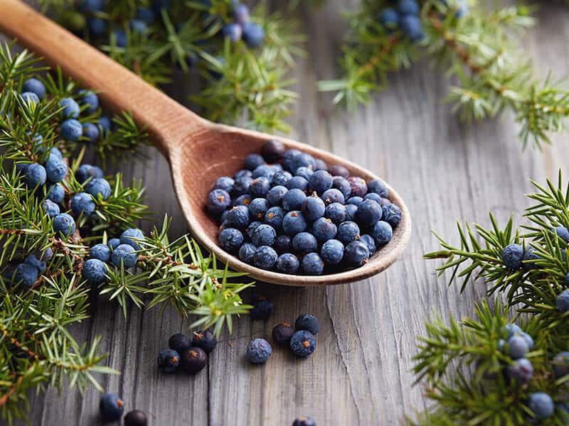 Juniper Berries