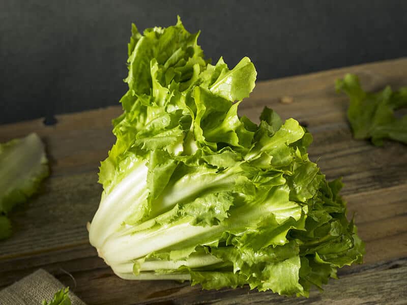 Organic Escarole