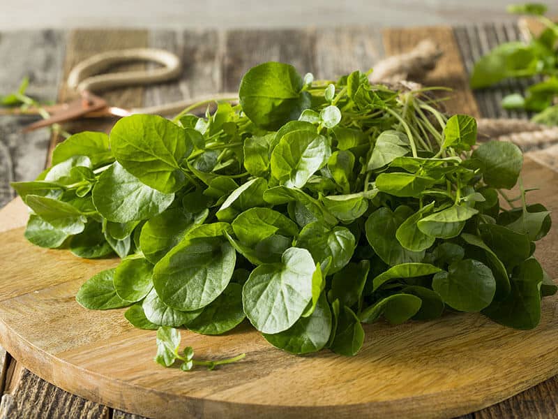 Organic Watercress