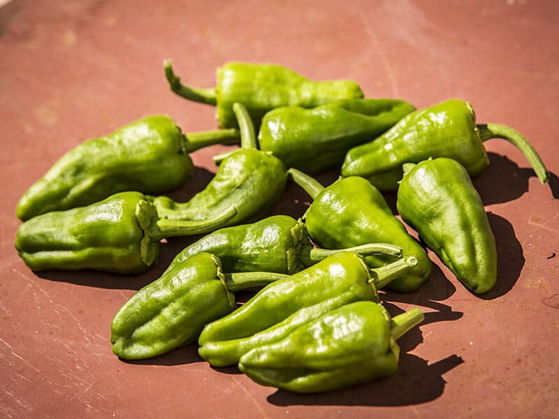 Padron Peppers