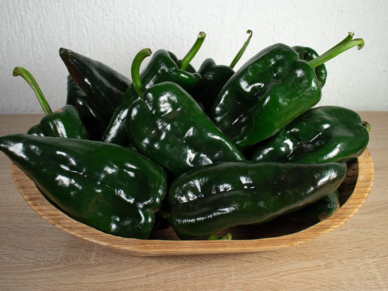 Poblano Pepper