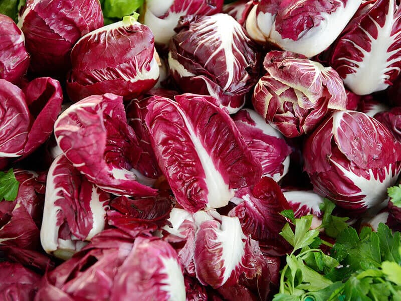 Red Radicchio