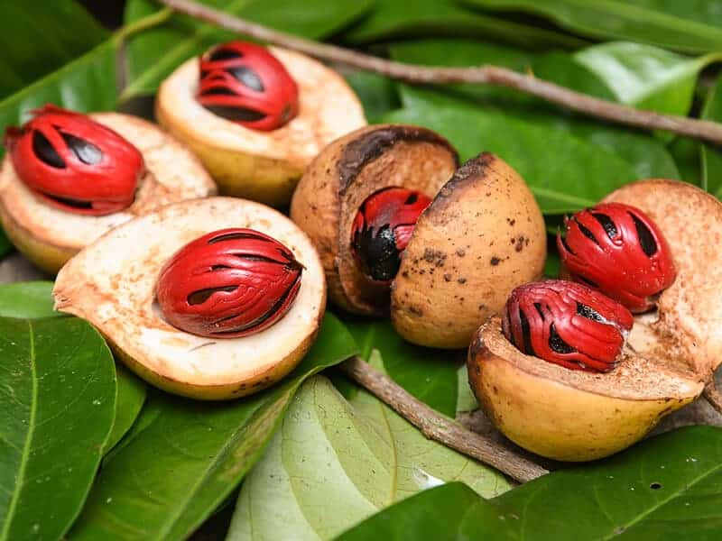 Reddish Covering Nutmeg Seed