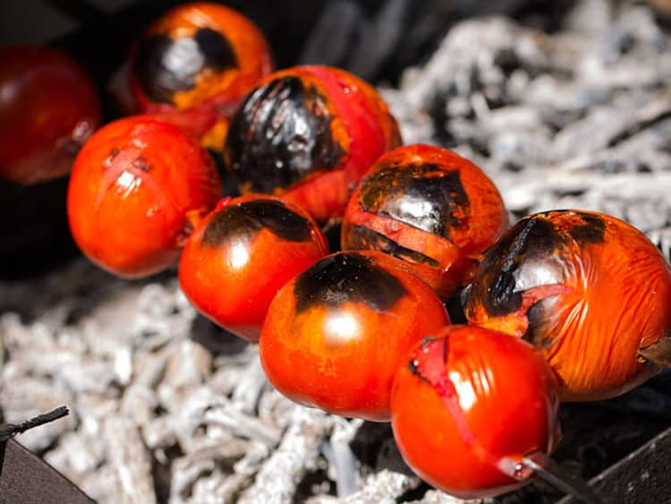 13 Ultimate FireRoasted Tomato Substitutes 2023