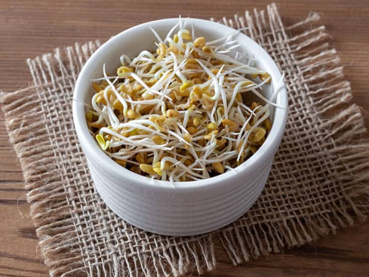 What Does Fenugreek Taste Like? The 101 About Fenugreek 2023