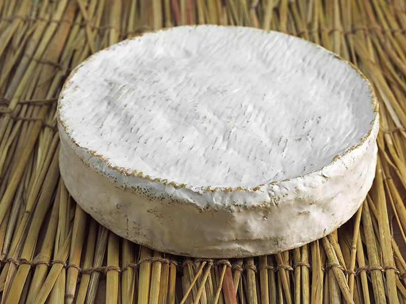 Coulommiers Cheese