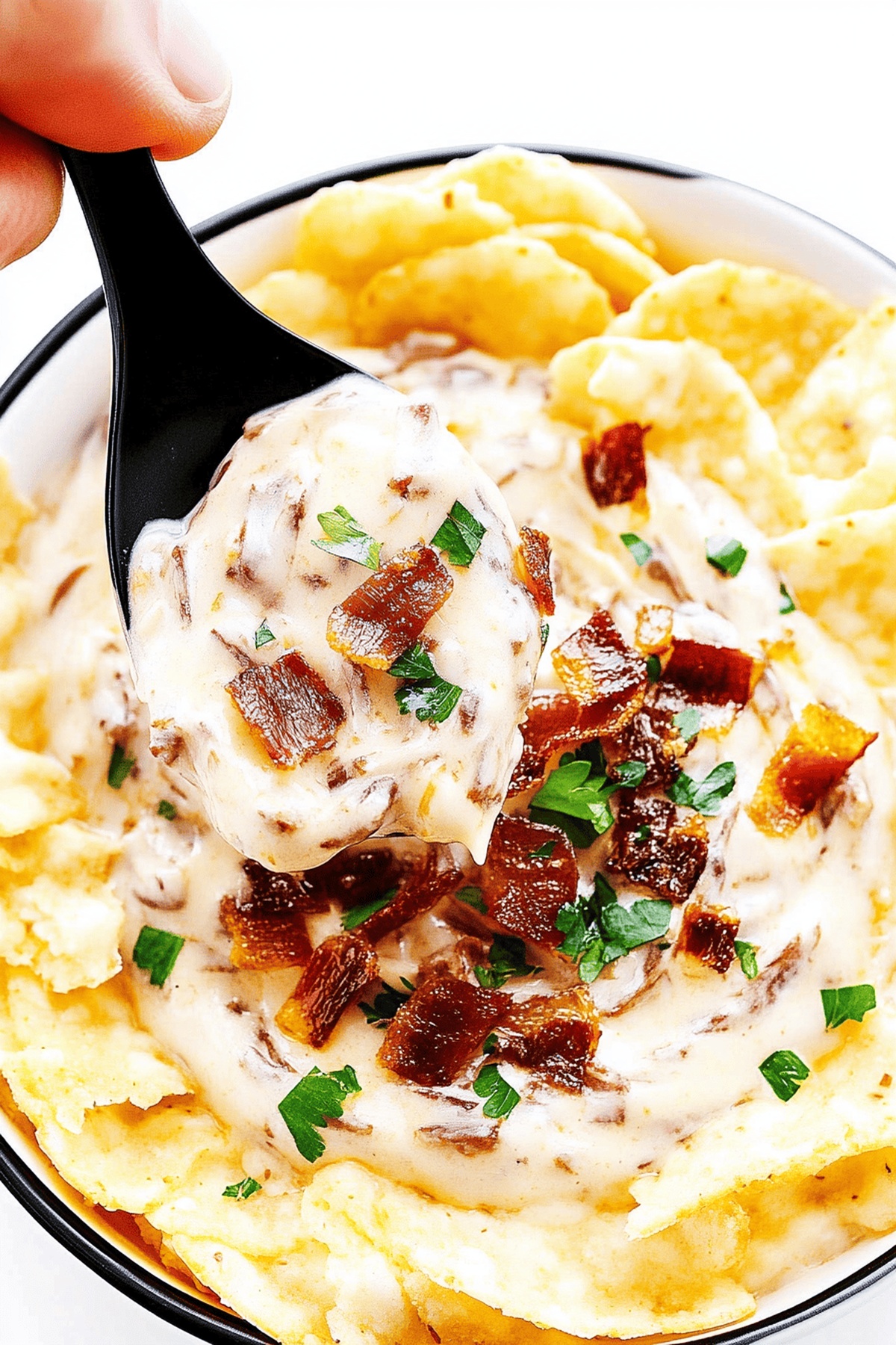 Caramelized French Onion Dip Recipe